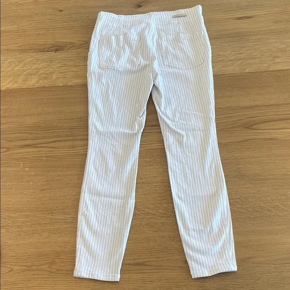 Pilcro Anthropologie Women’s High Rise Skinny Pants White Gray Stripes Size 28 - Picture 3 of 15